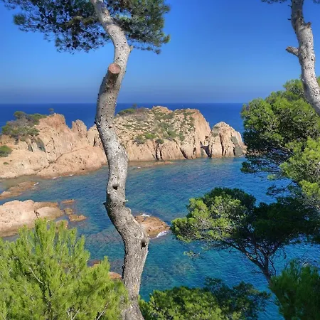 Cala Nostra - El Cau Дом отдыха
